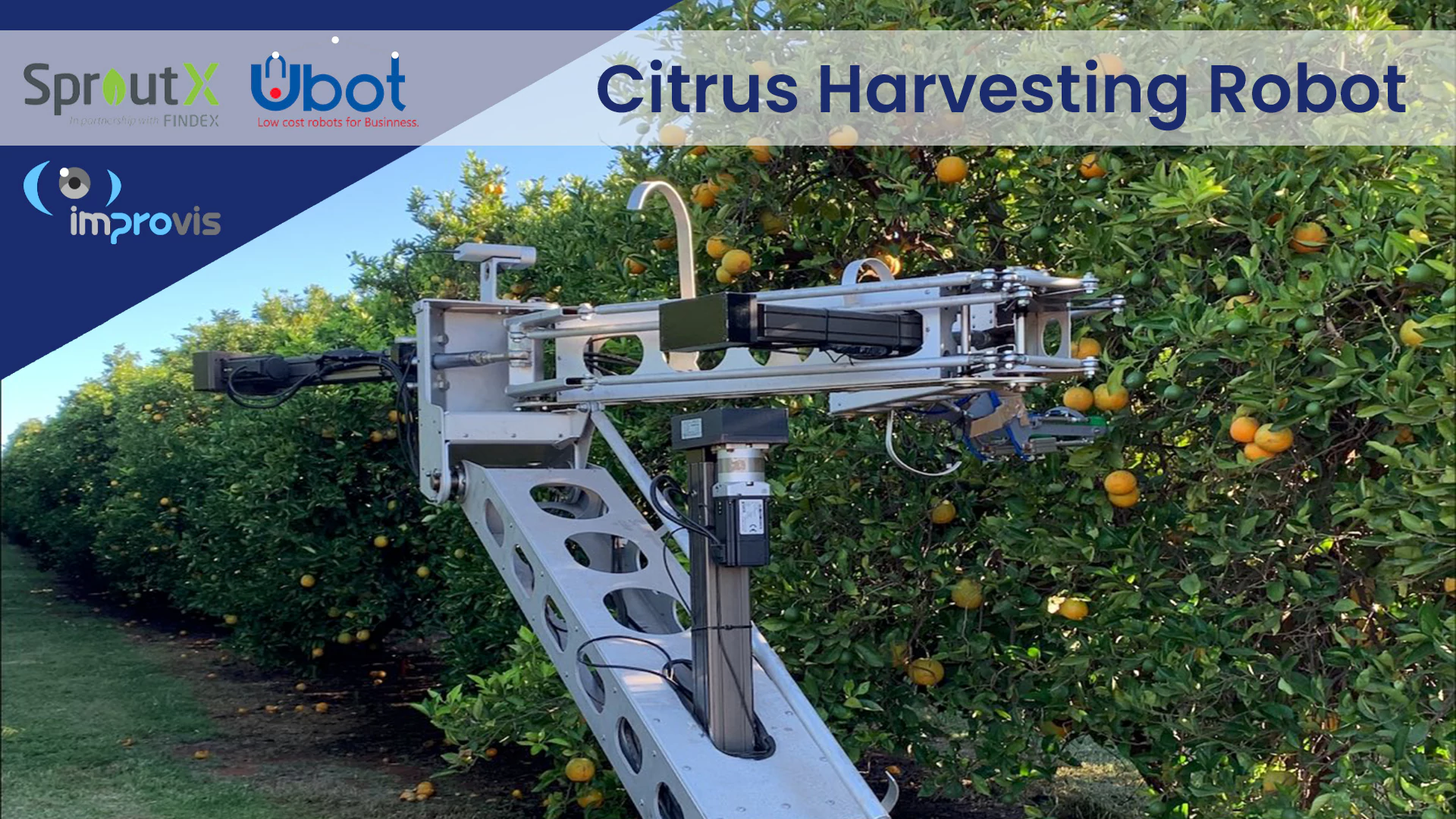 Ubot: Citrus Harvesting Robot